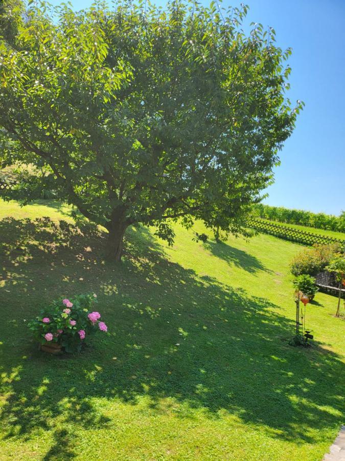Ferienhaus Zangl Am Seggauberg - Suedsteiermark Leibnitz Exterior photo