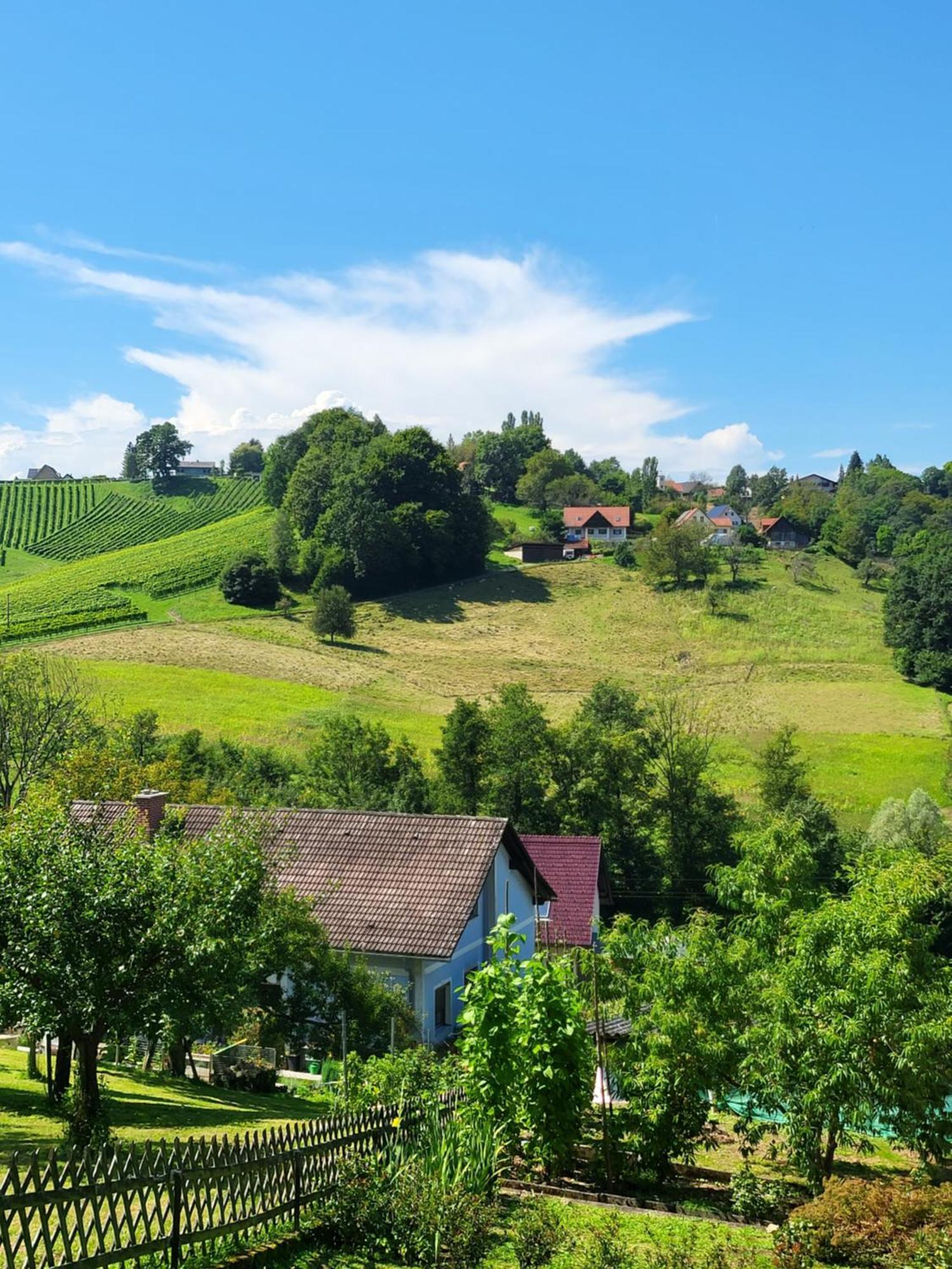 Ferienhaus Zangl Am Seggauberg - Suedsteiermark Leibnitz Exterior photo